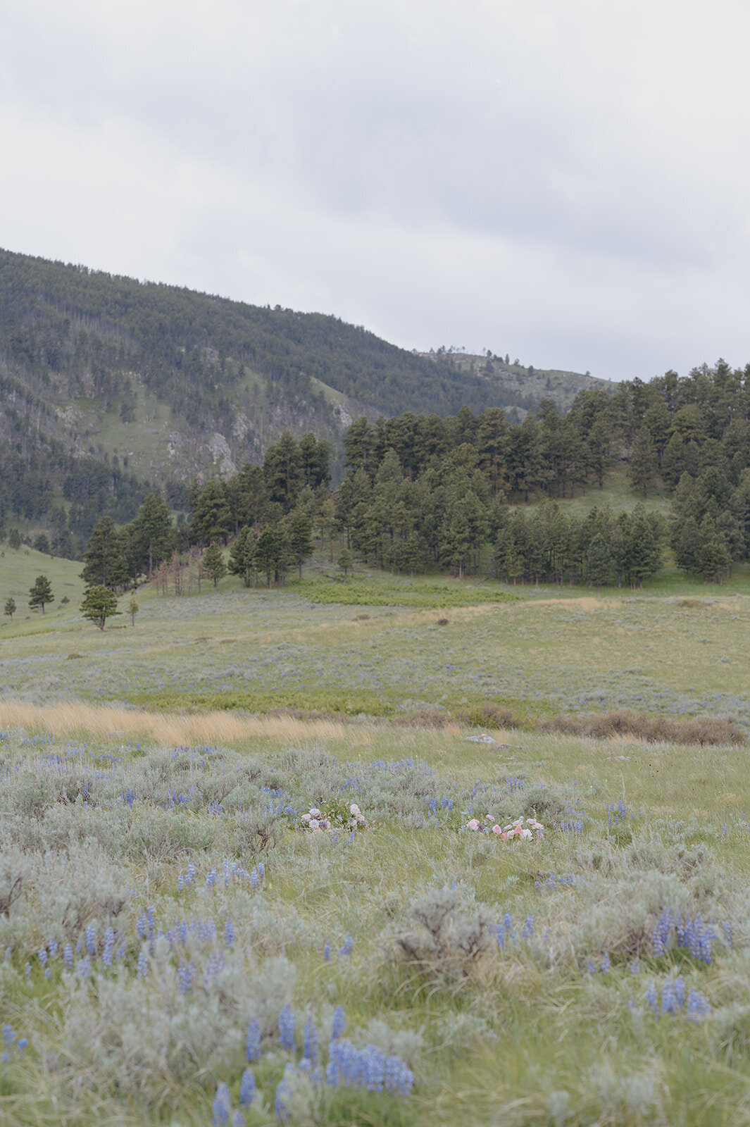 Carly-Patrick-Sheridan-Wyoming-Elopement-005