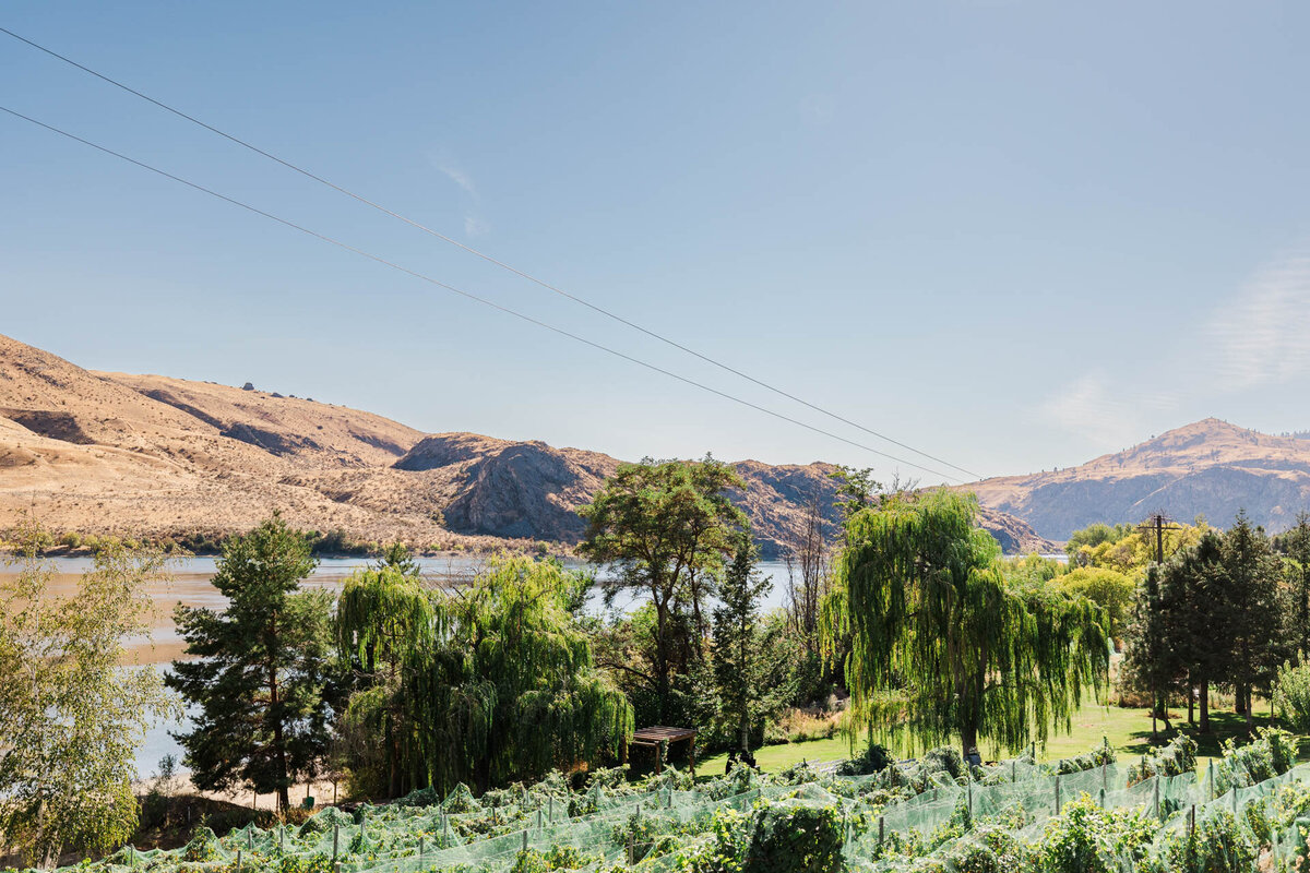 Rio-Vista-Winery-Wedding-Chelan-WA-26