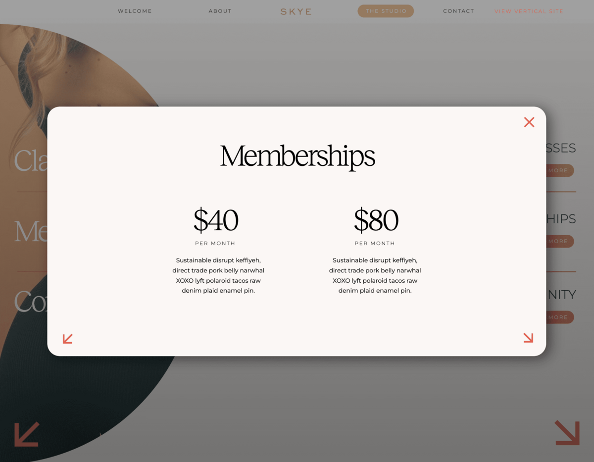Skye Showit Screenshot