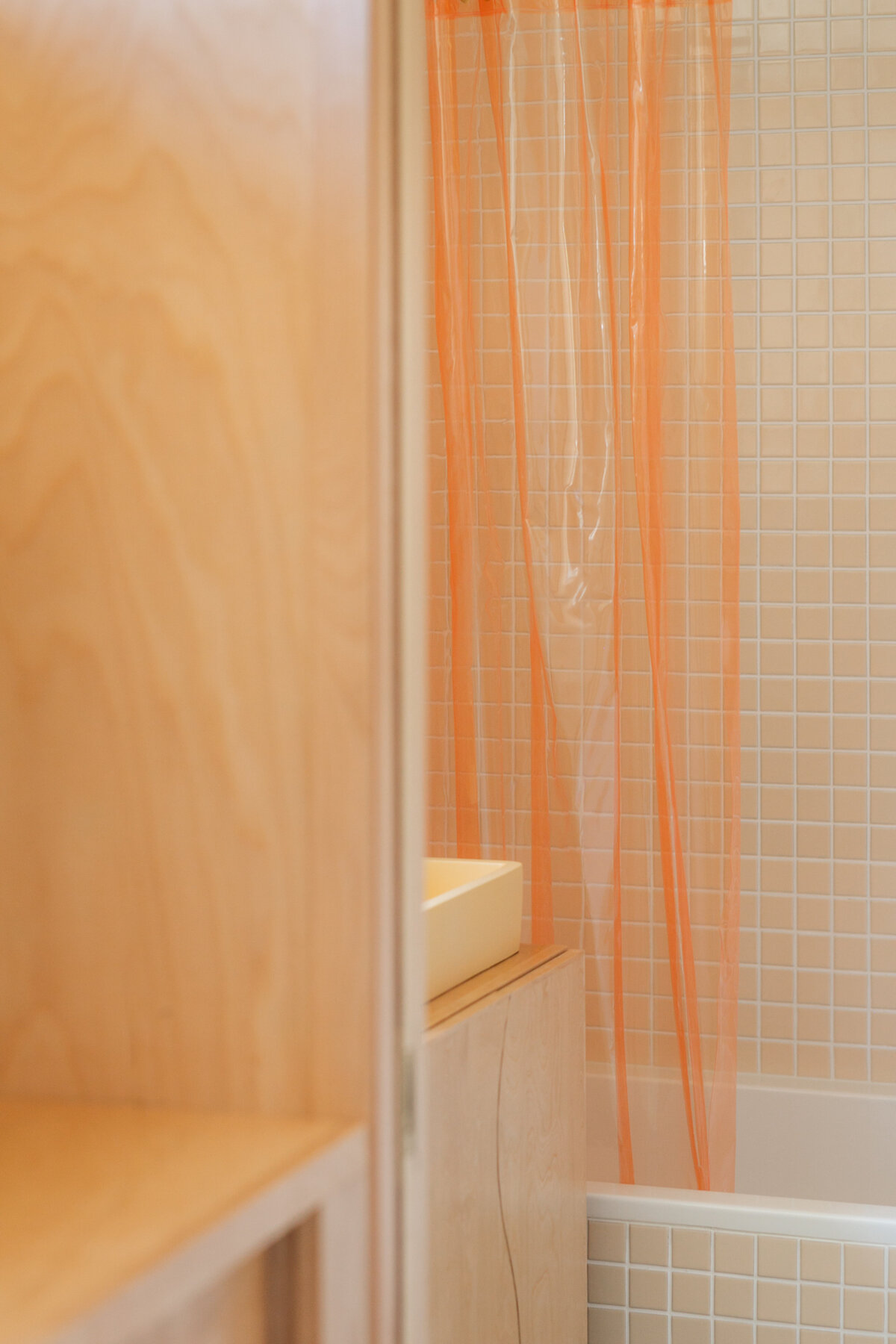 KOCINSKI-MCM-GUEST-BATH-RENO-DIGITAL--13