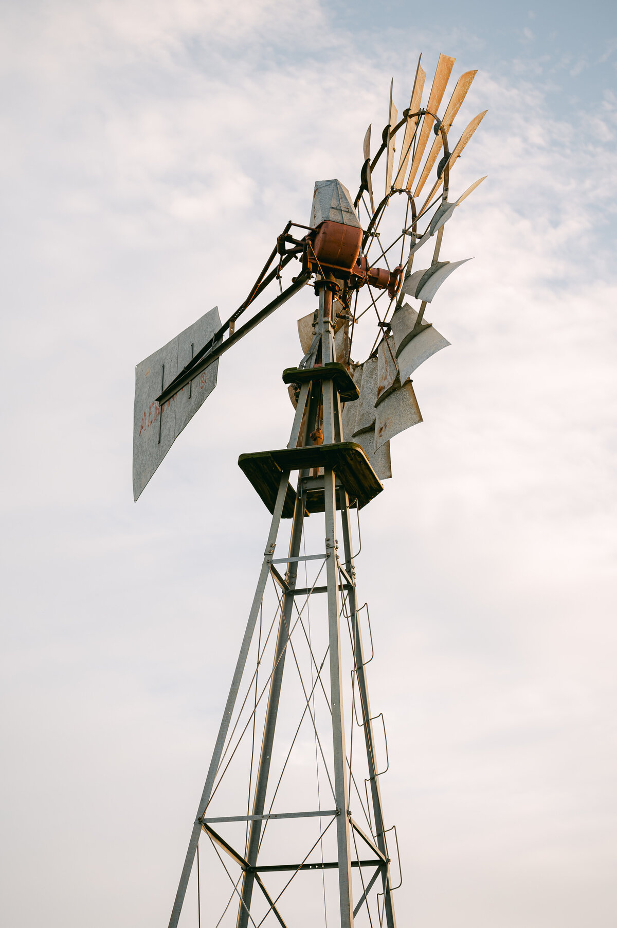 Erin_Marcin_Photography_Texas_Wedding_Photographer-0134