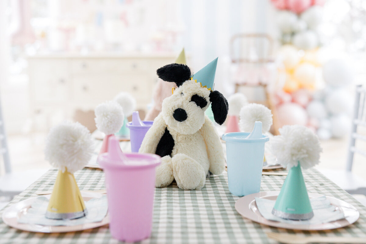 indianapolis-party-planner-78
