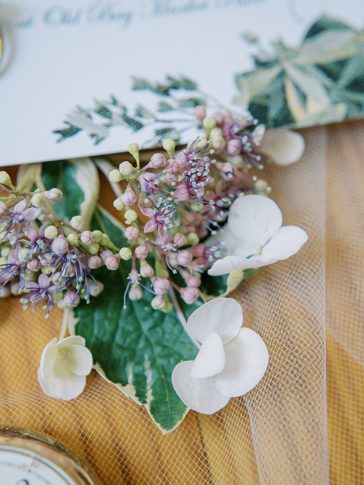 beaufort-wedding-photographer-intimate-wedding56