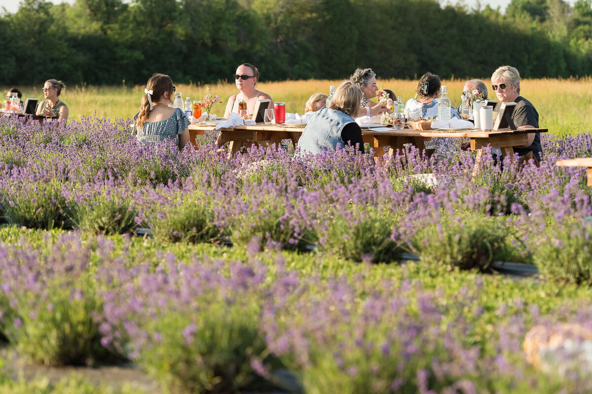 women sitting in a lavender field enjoying a picnic as part of Soiree in the Field.  Captured by Ottawa Event Photographer JEMMAN Photography COMMERCIAL
