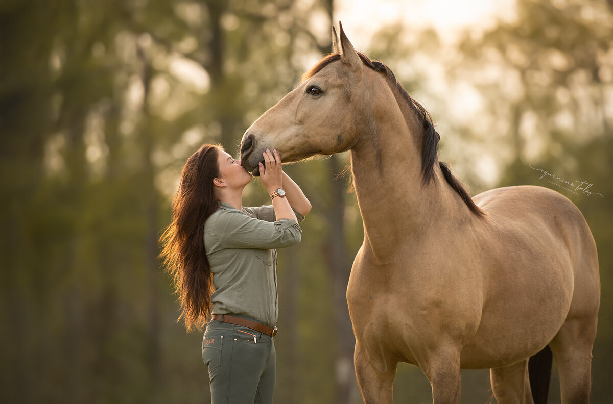 Paardenfotograaf België & Nederland