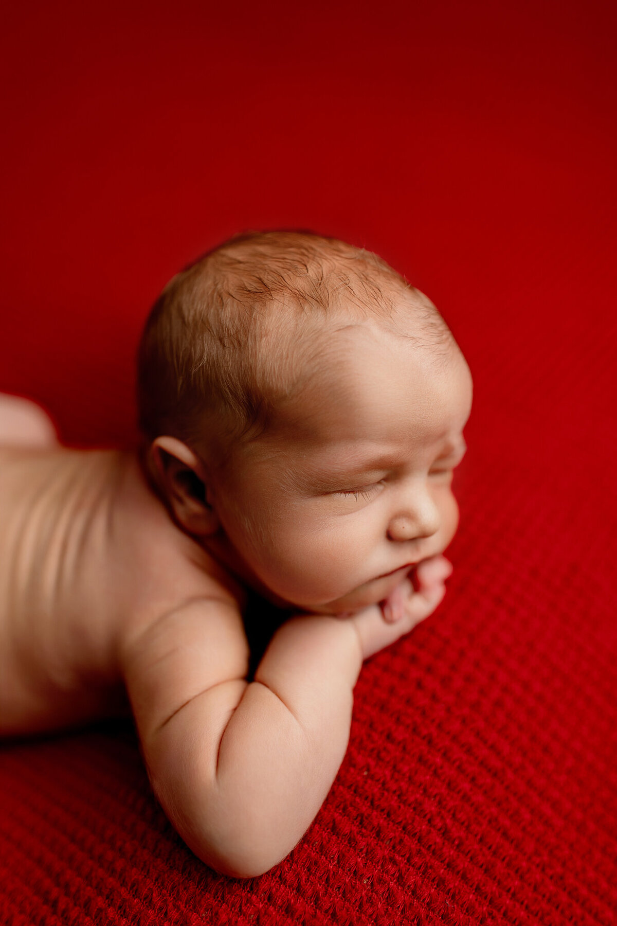 best NWA newborn photographer, newborn photography packages, newborn portrait studio Northwest Arkansas