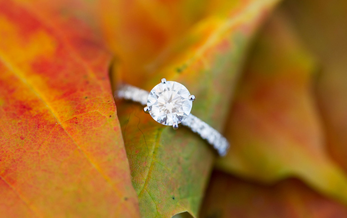 engagment ring on colorful leaf