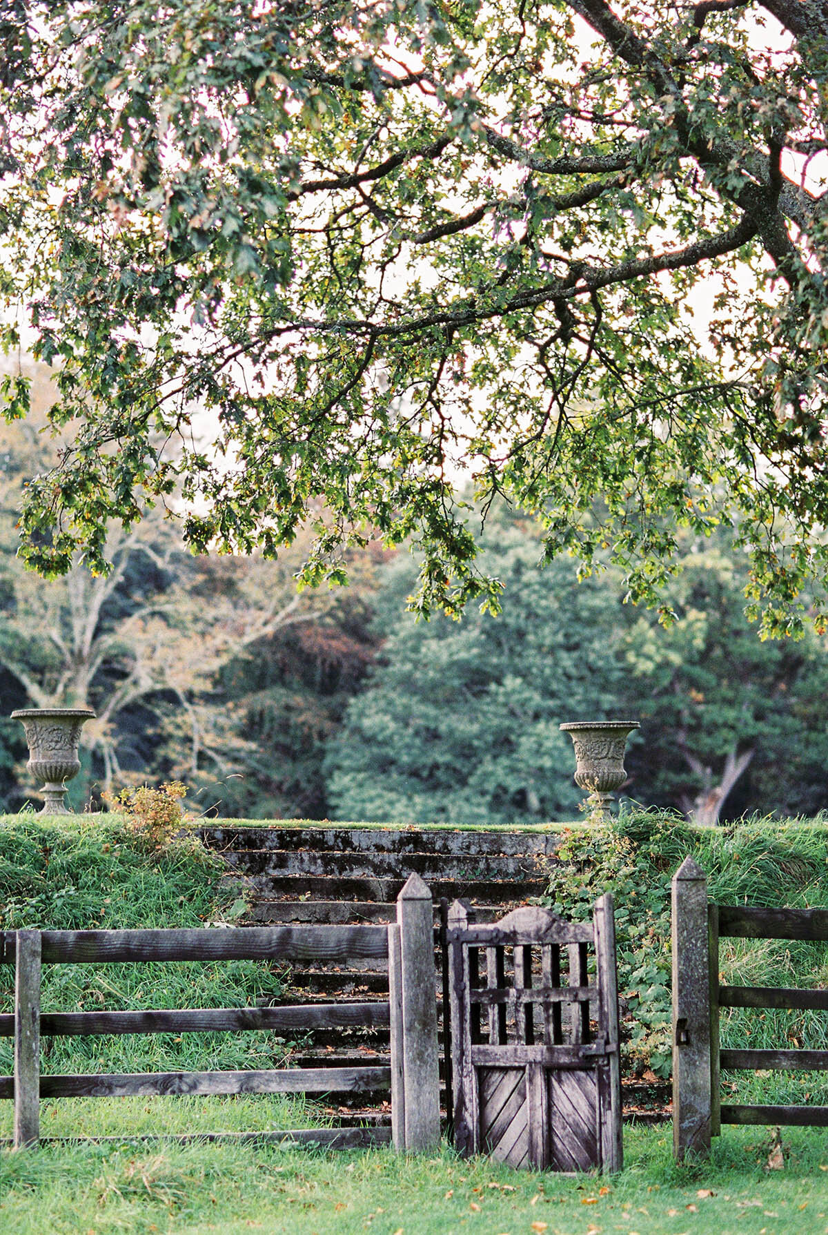 Michelle Norwood Living - Luxury Travel Inspiration - Ireland - Ashley_Ludaescher_Engage_Ireland-0002