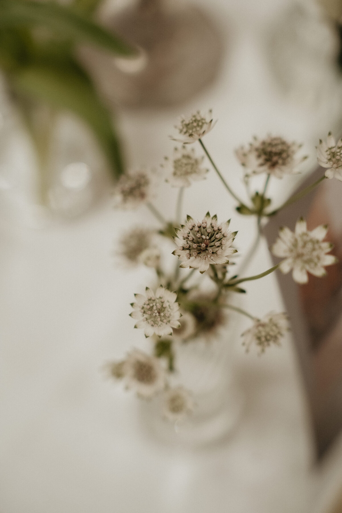 TheBohemia_DianaRam-938