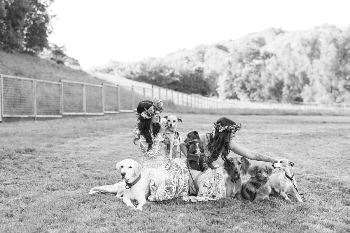 Best California Wedding Photographer-& Co by Jodee-Jodee Friday & Co-277