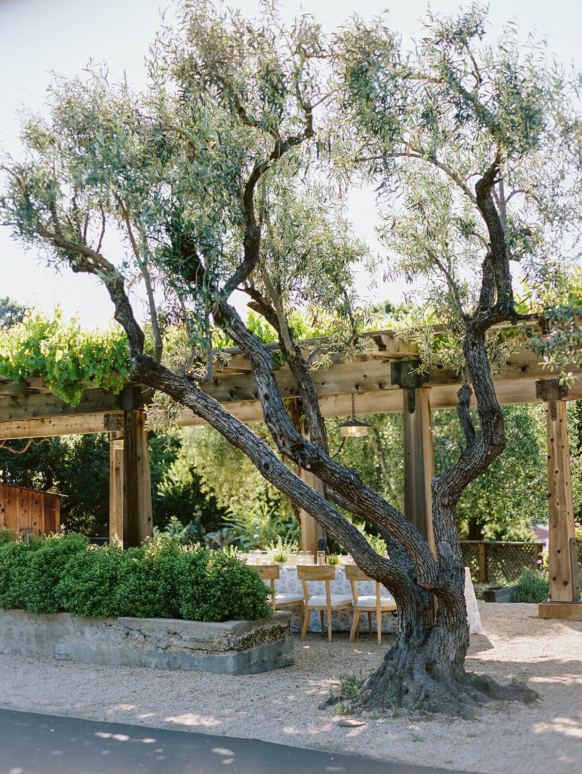 holman- ranch-carmel-valley-california-wedding-chelsea-brooke-events (119)