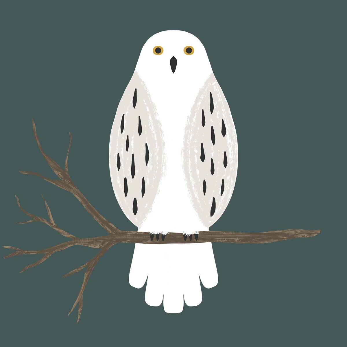 Animals - Snowy Owl