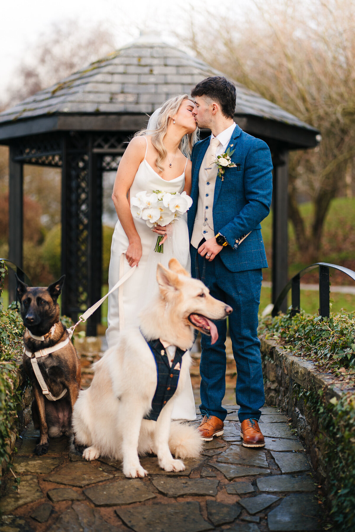 Bride and groom kissing whilst holding their dogs outside at Mytton Fold Hotel taken by documentary wedding photographer Anthony Horseman