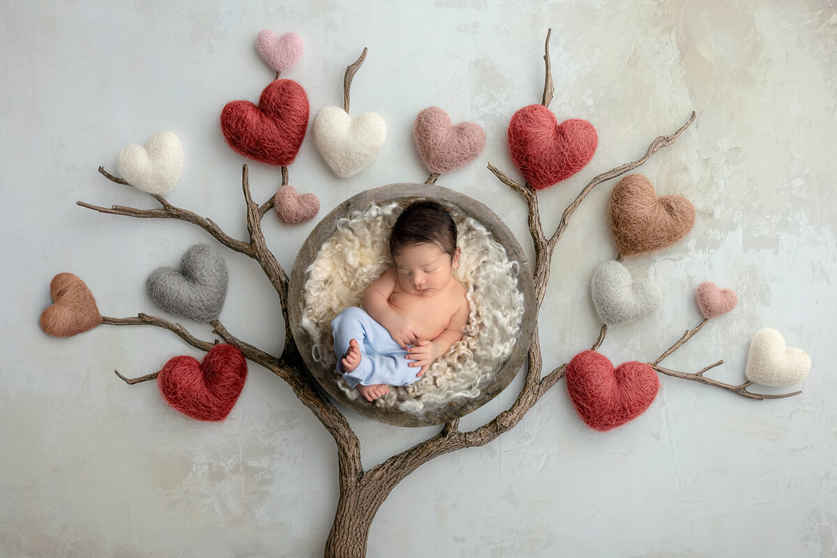 Scottsdale Arizona newborn photos baby in tree hearts