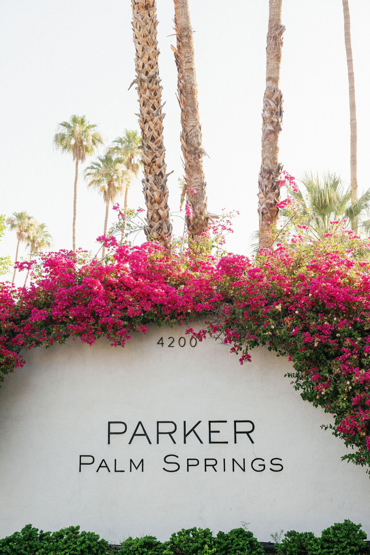 Parker-Palm-Springs-3