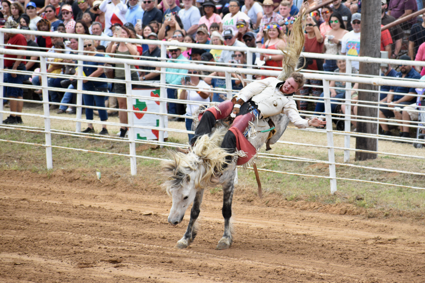 Cowboy_Rodeo_PSF_Spring_2022_Amber_Esparza-865x576