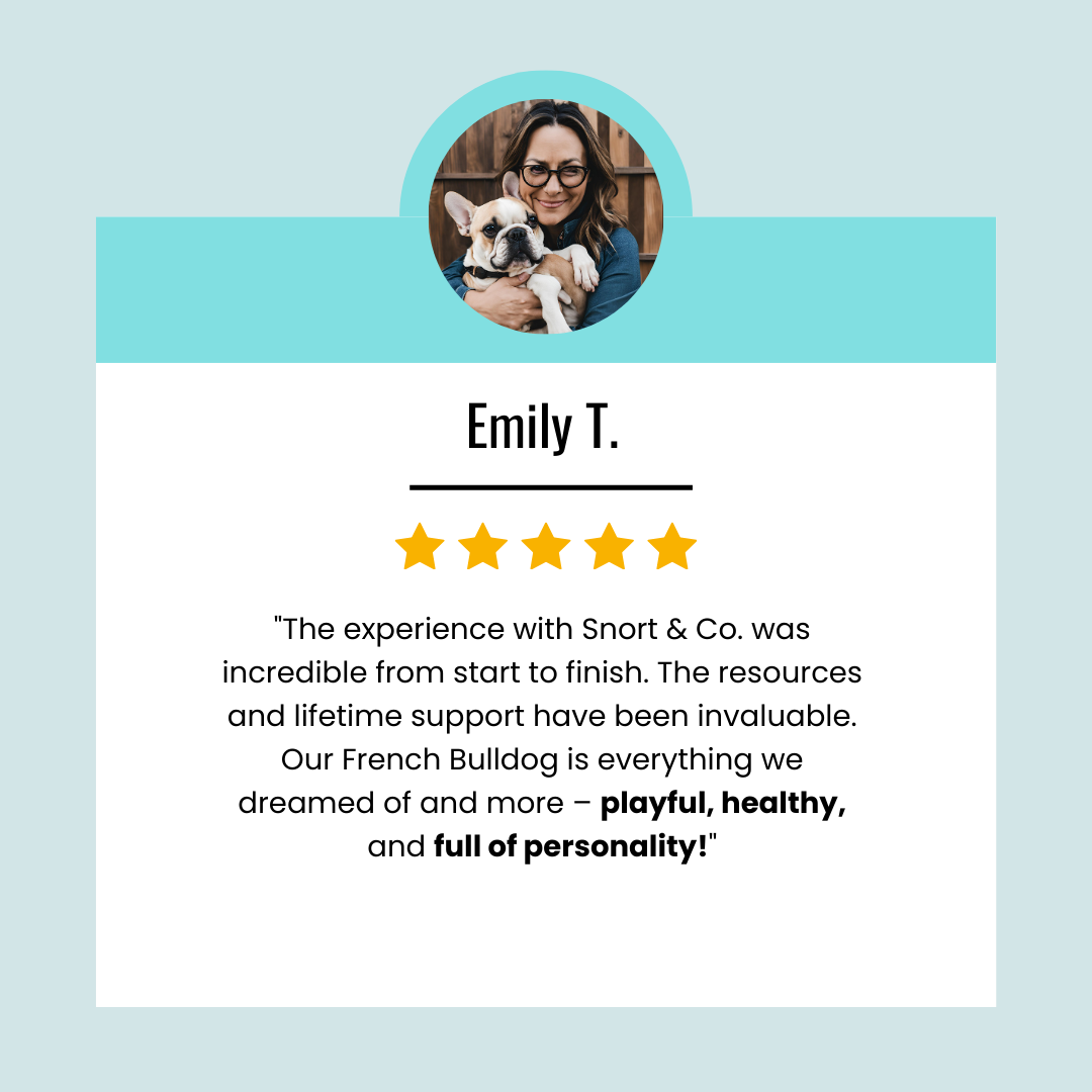 Social Media Templates - Set 1 (2)