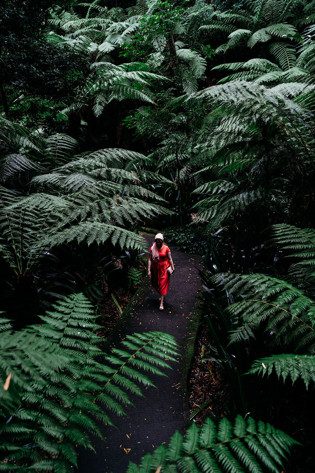 Margan_Photography_Australian_National_Botanic_Gardens-66