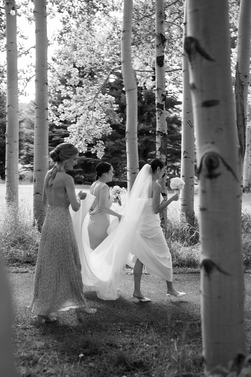 Bridesmaids carefully carry the wedding gown train for the bride to be as she walks towards the wedding ceremony site at the Aspen Meadows Resort.