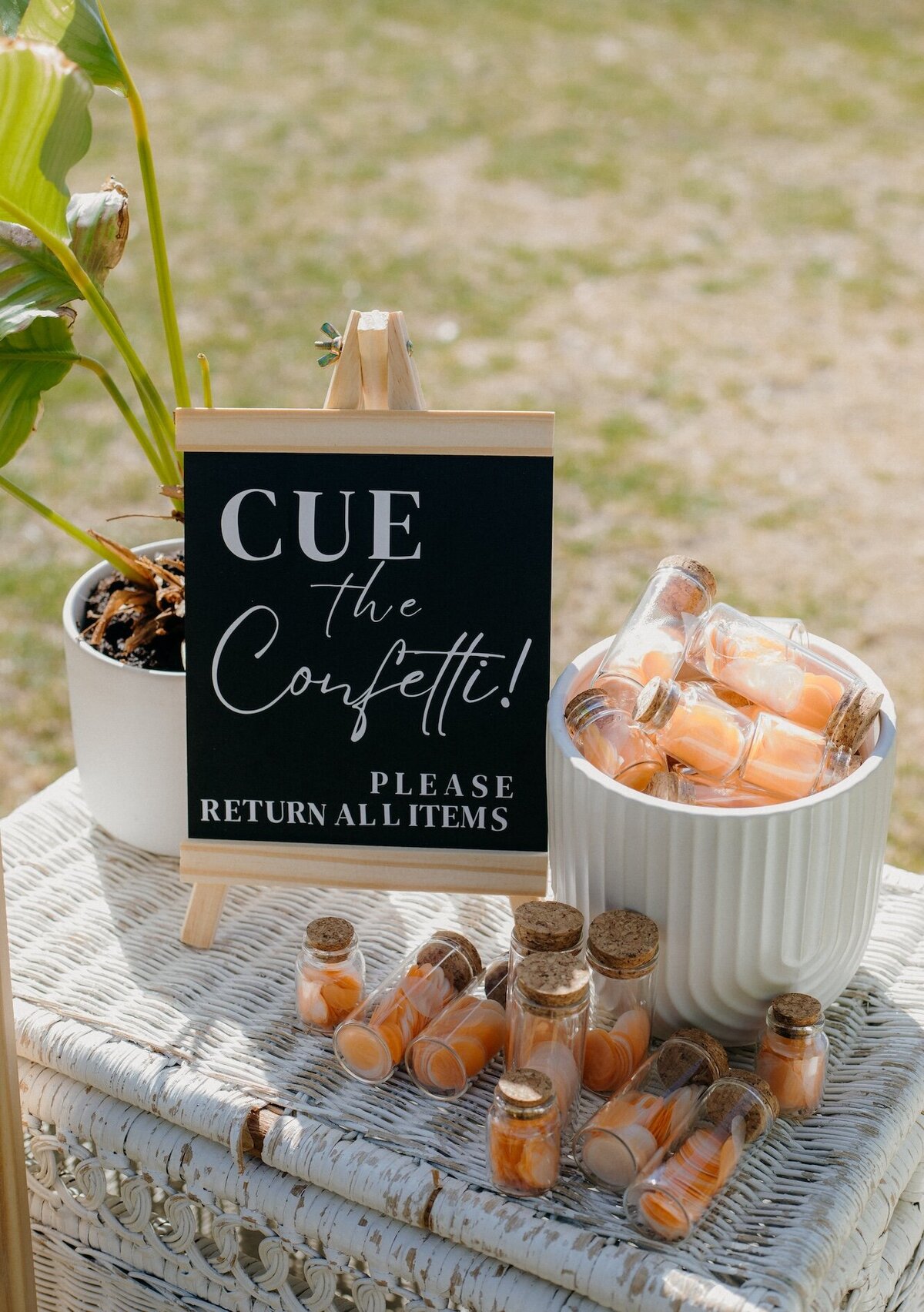 Fun and fabulous elopement in beachside Auckland location