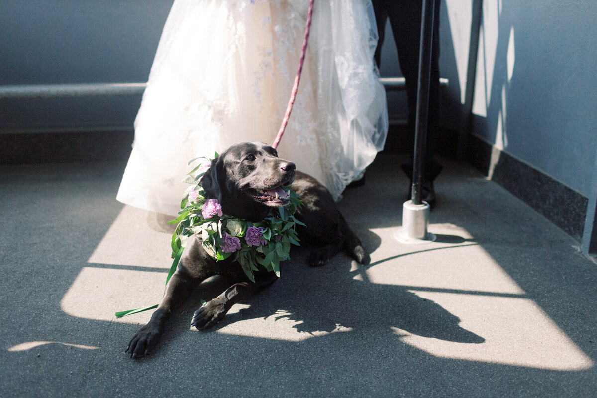 Alyeska-Wedding-Photographer-CorinneGraves-1094
