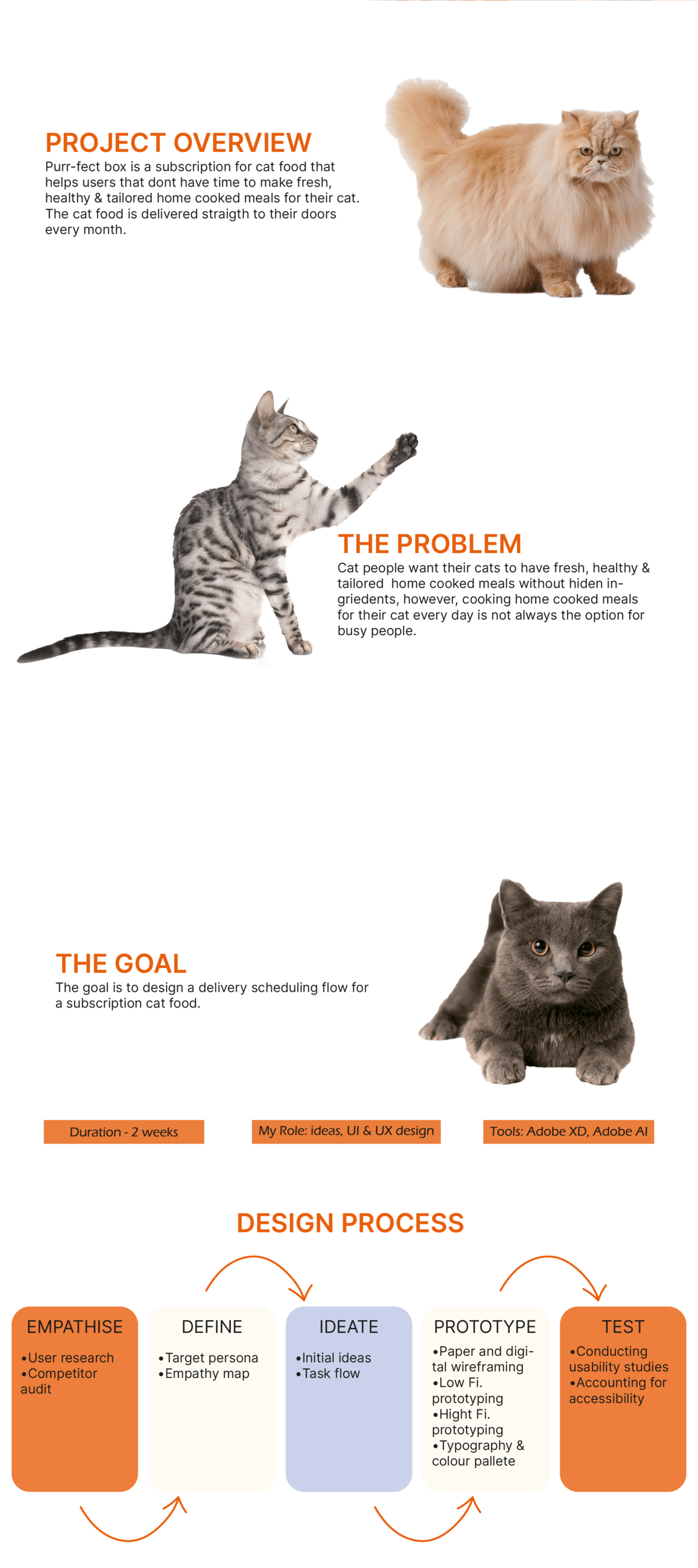 Overview of UX case study for a cat food subscription website
