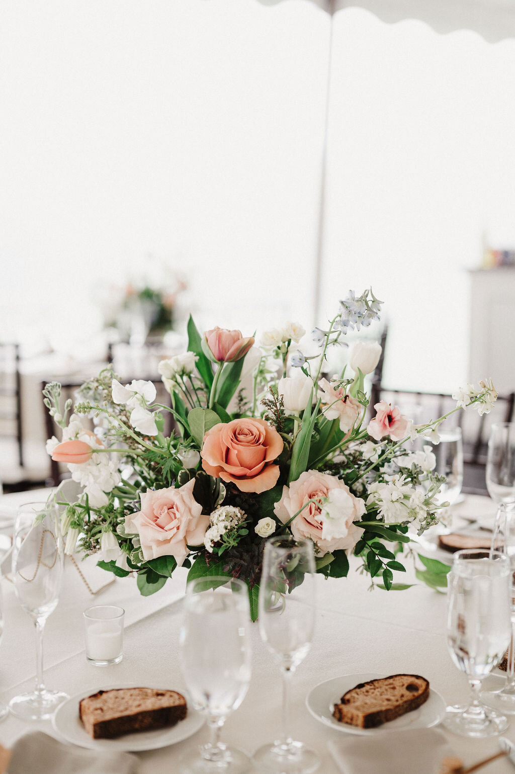C+I_WED-480