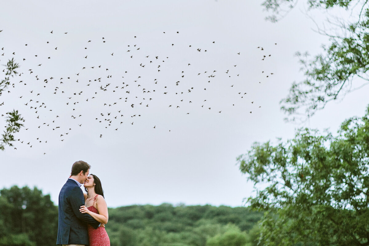 hudson valley wedding photographer candid birds