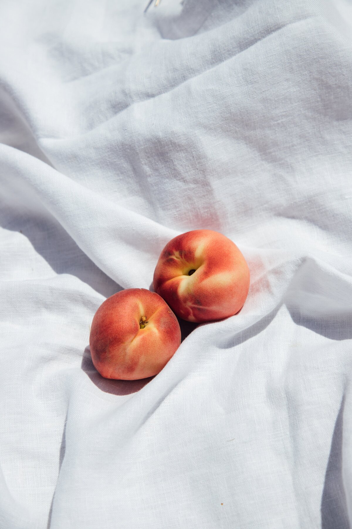 kelsey-curtis-sqdt0Gm613o-unsplash