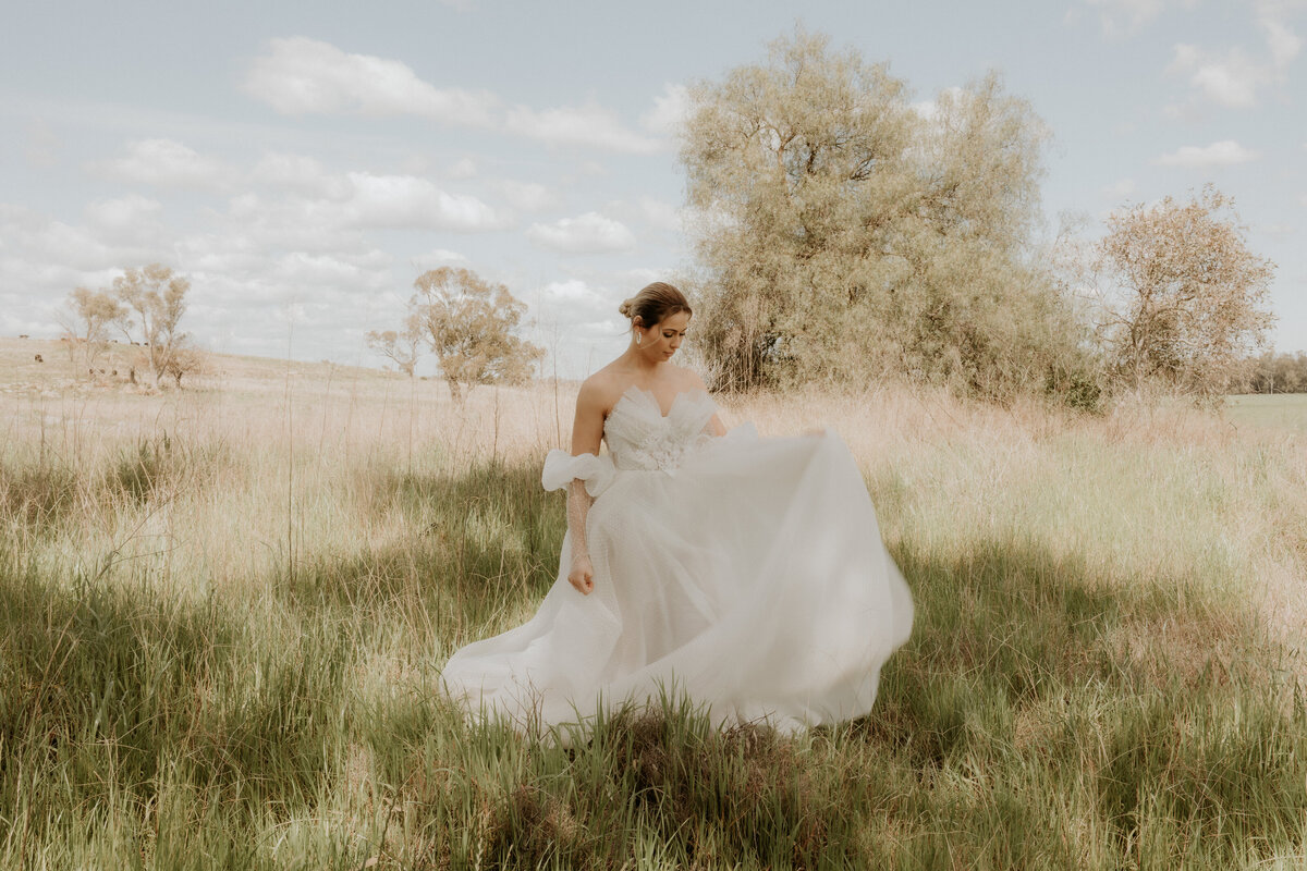 Bride in a golden field