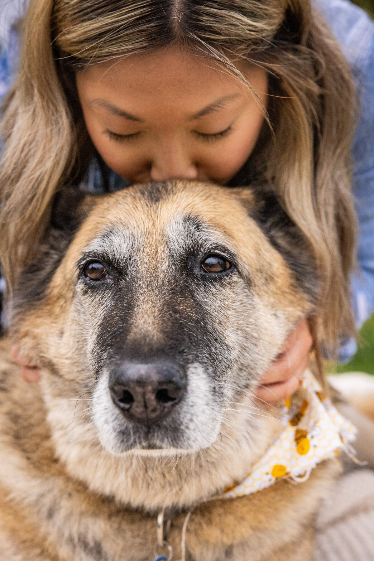 Lauren-Ashley-Studios-Pets-3