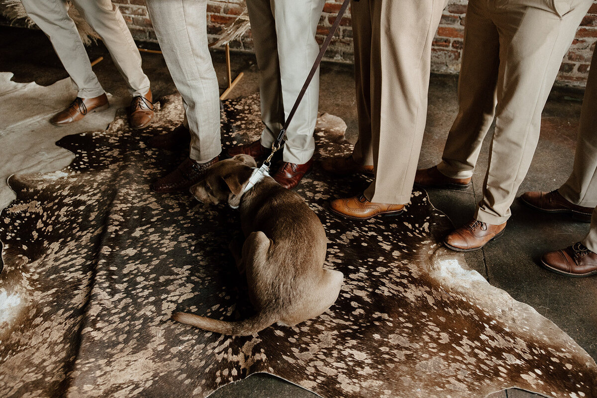 riley & joshua wedding sneaks _ cait swithers photo + films-12