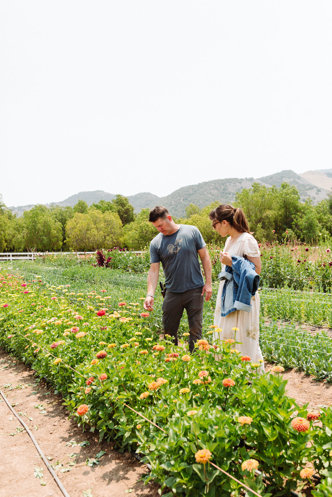 santa-barbara-company-danielle-motif-photography-july-2021-starter-farm-web-size-24