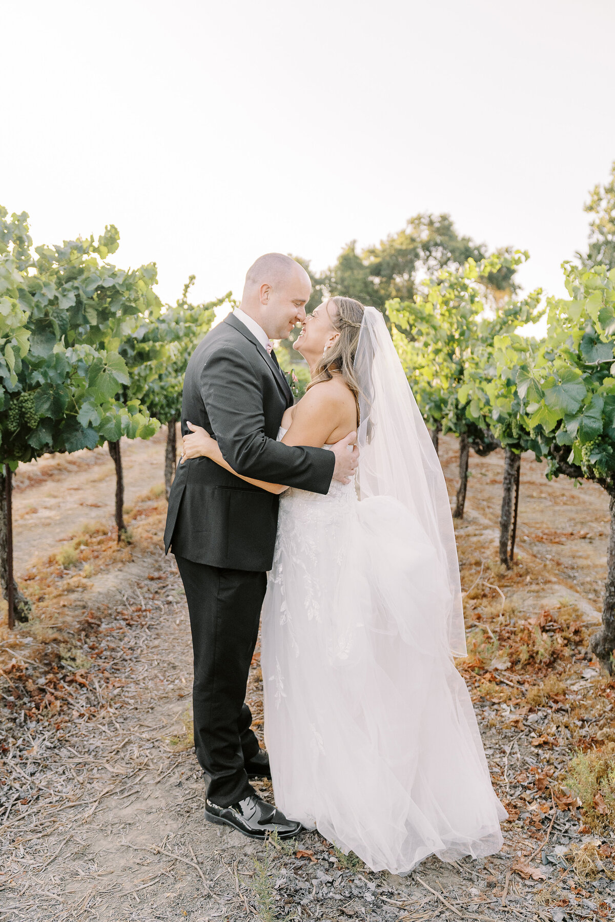 scribner-bend-vineyards-sacramento-wedding-052