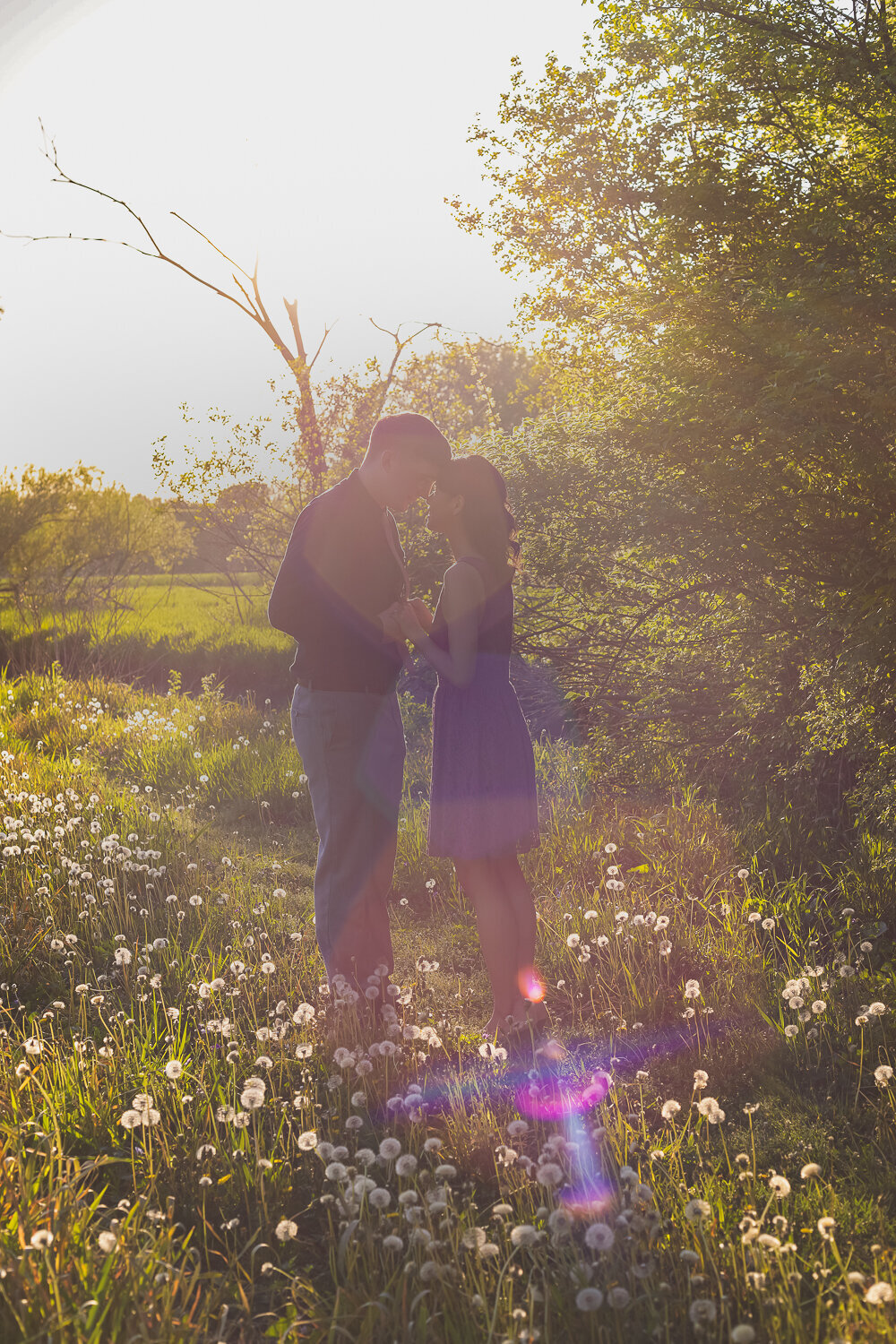 499A4366-Edit