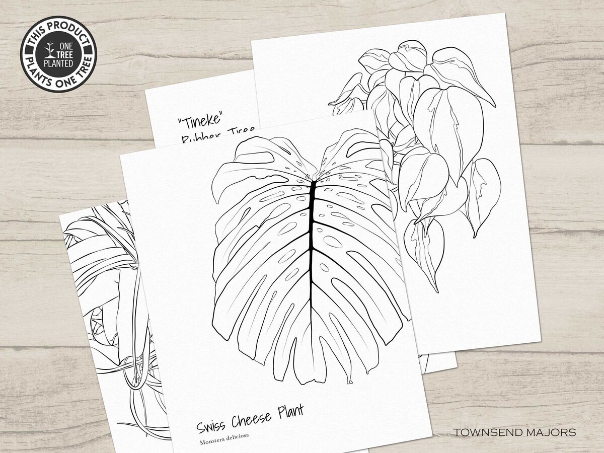 townsend-majors-houseplants-coloring-page-2