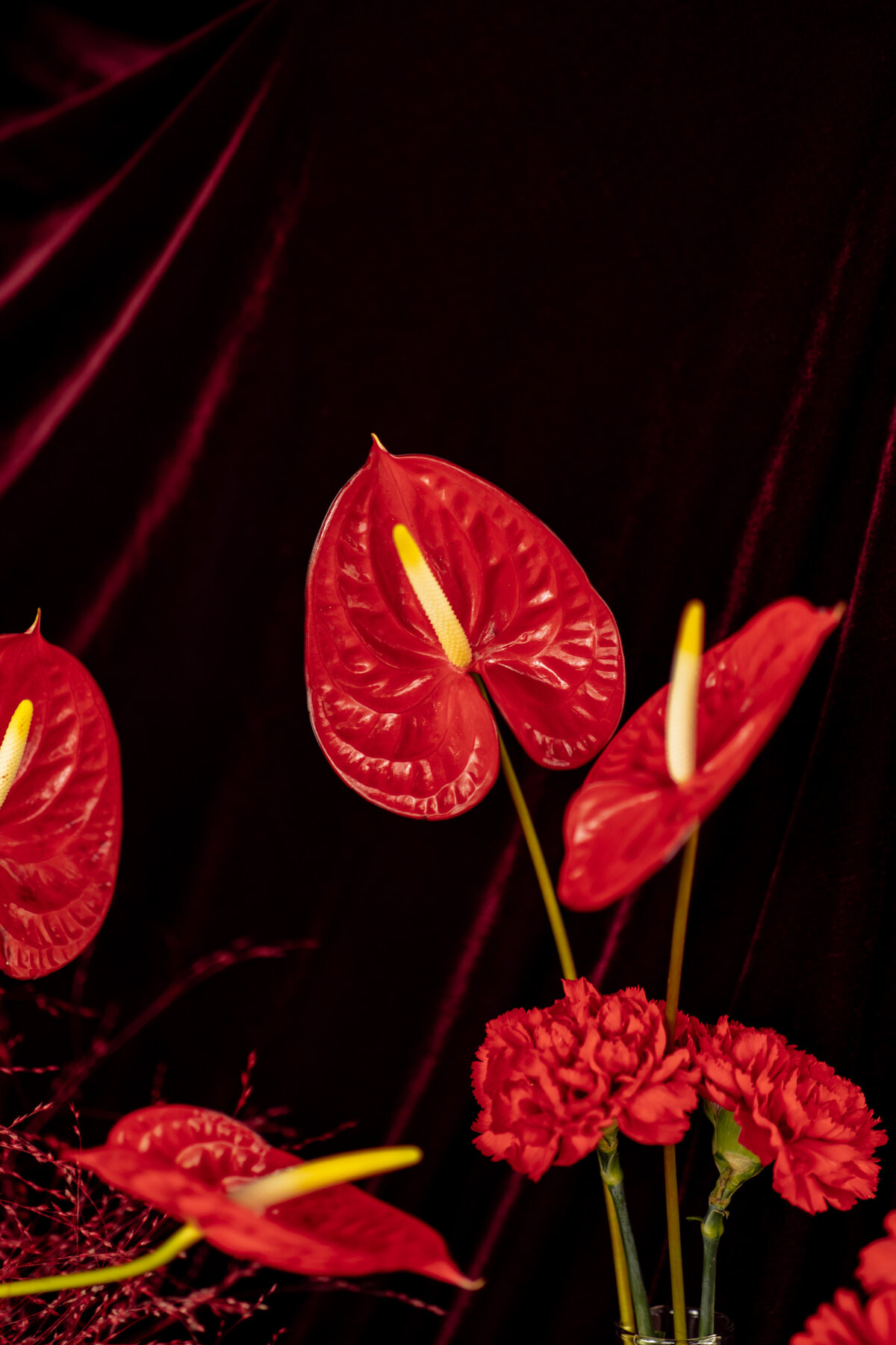 TANGERINE-SYNOPSIS-BACKDROP-4
