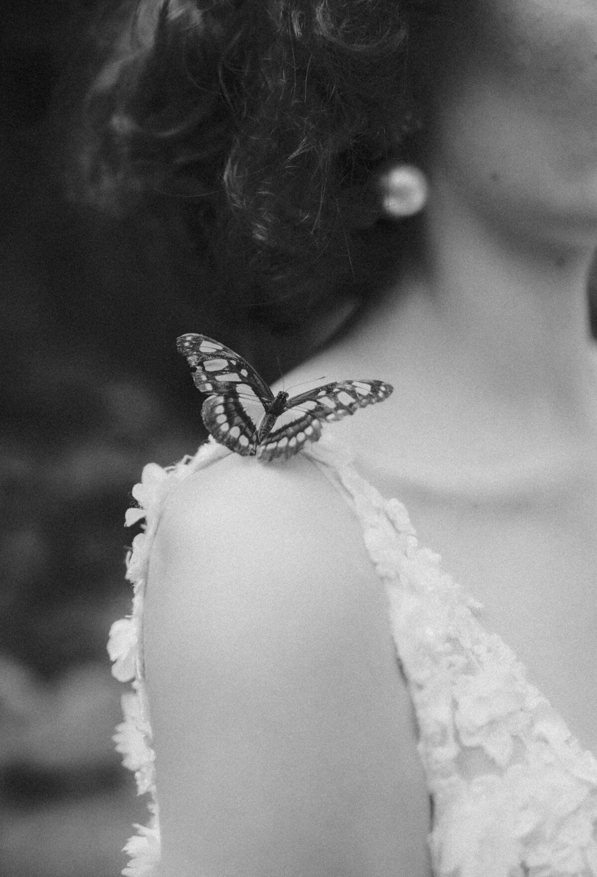destination-wedding-photography-36