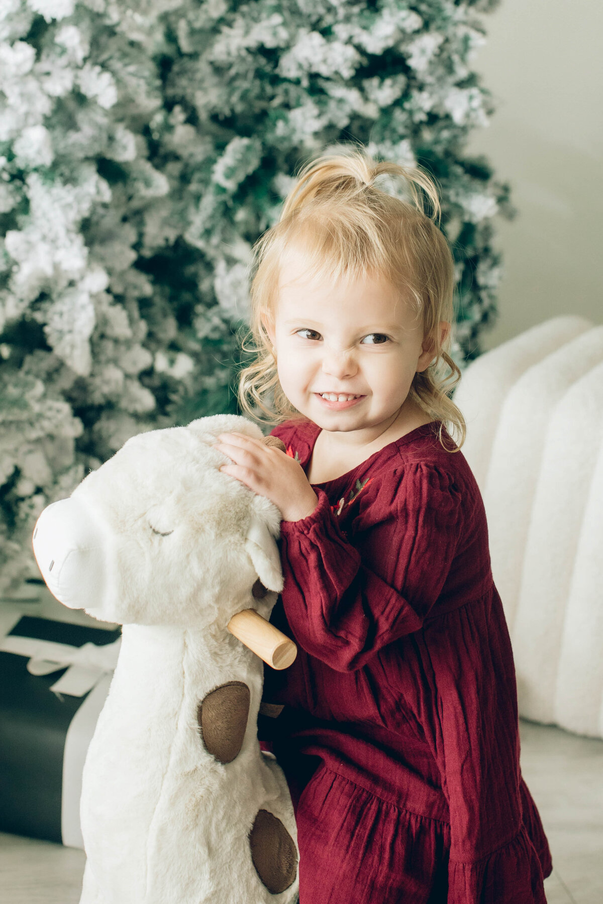 portland-holiday-photos-studio-aniko-28