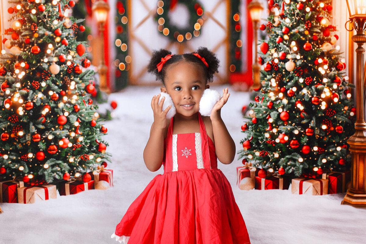 houstonchristmasminis (5)
