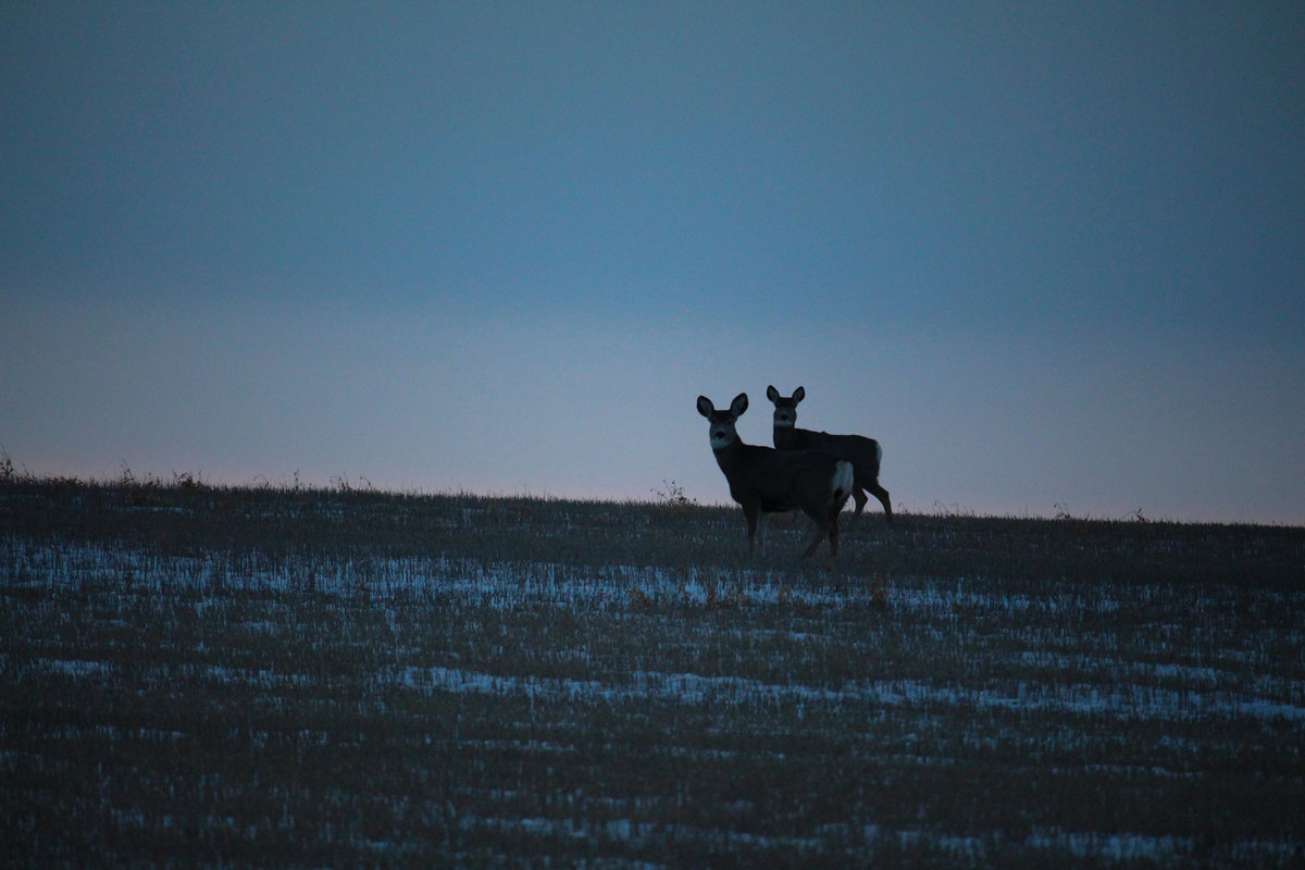 Wade_Muir_Photography_Places-2