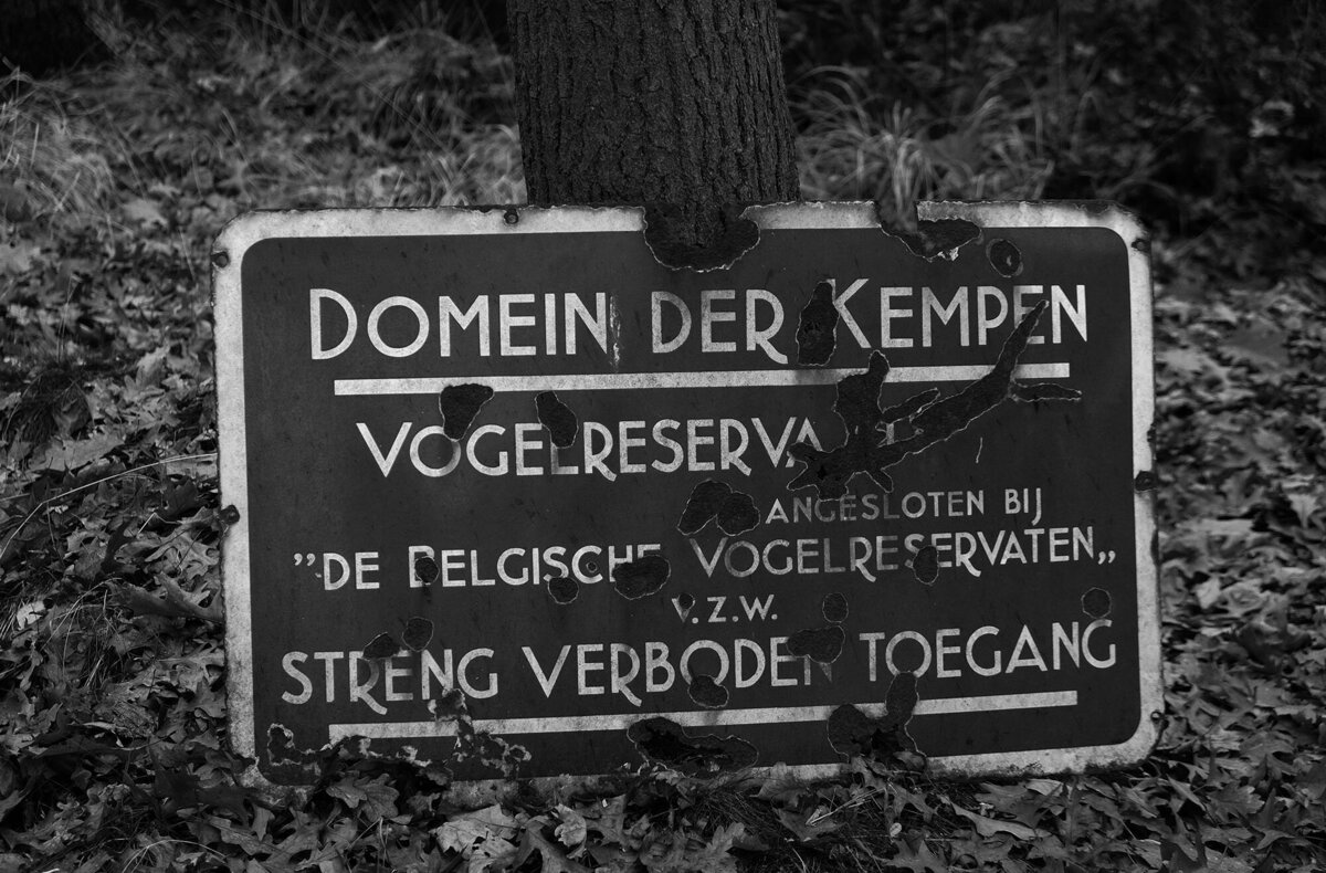 Bart Van der Moeren - De Stille Kempen - 032