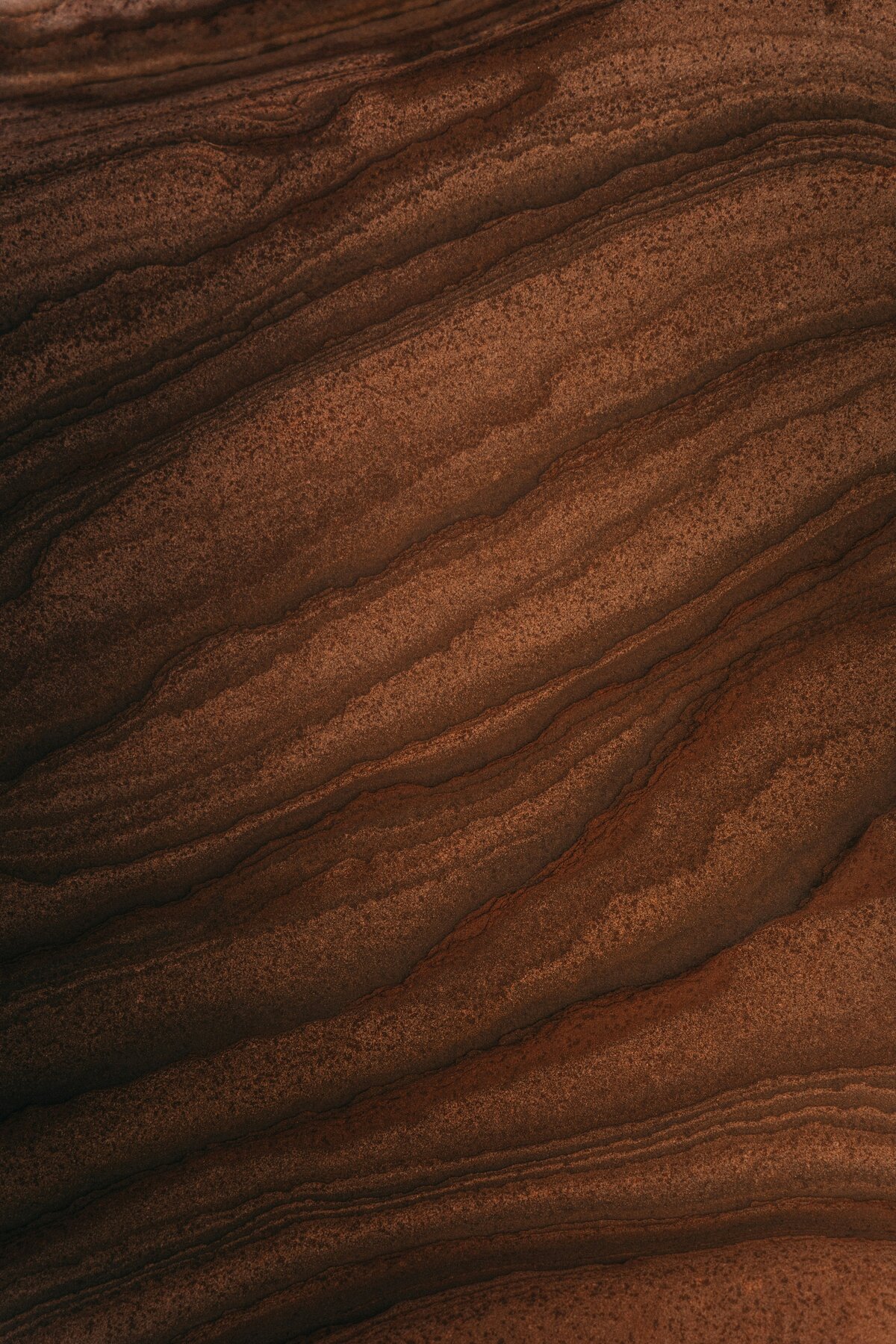Grain | Nicole Chapman Design