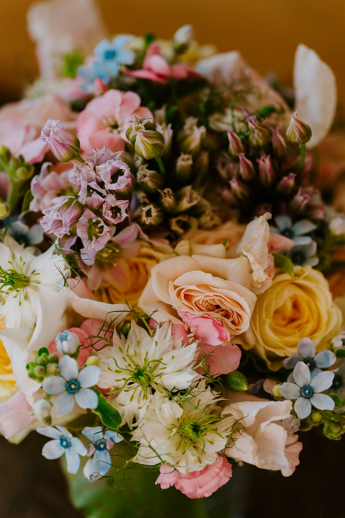 Passo delle Erbe Elopement Dolomites -42