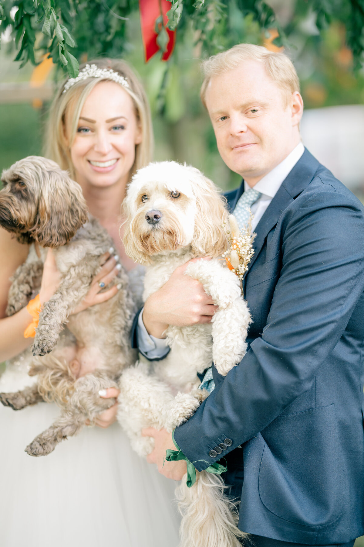A bride and groom sit smiling and facing the camera while they hold their puppies who were the ringbearers for the garden wedding