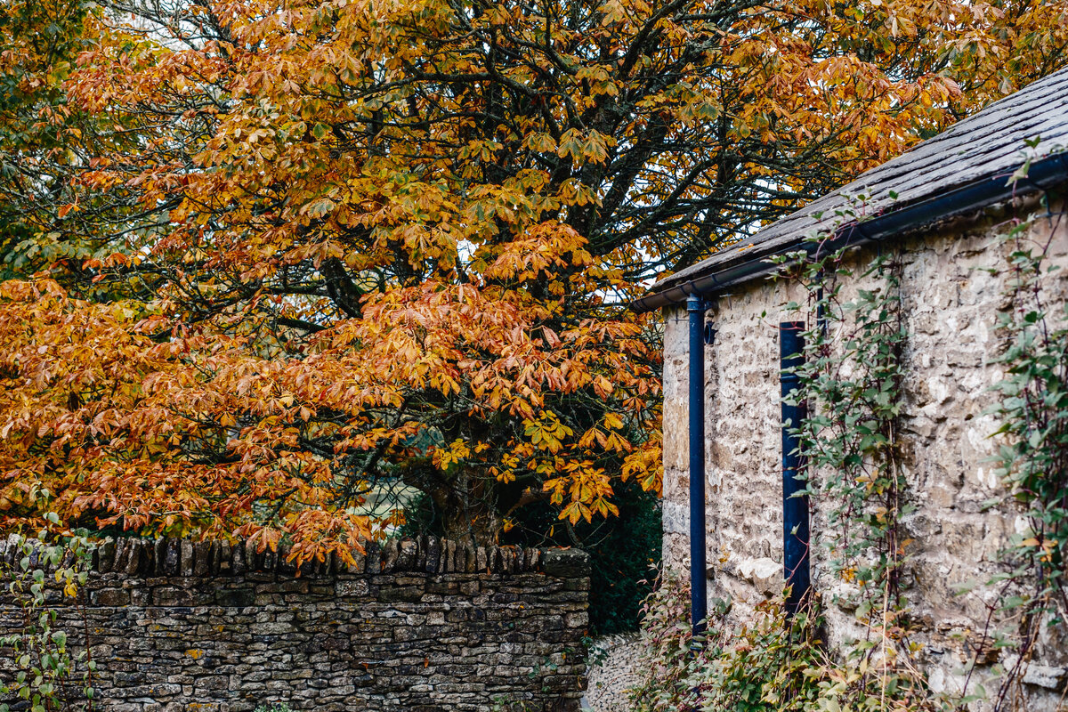 Holesfoot-16