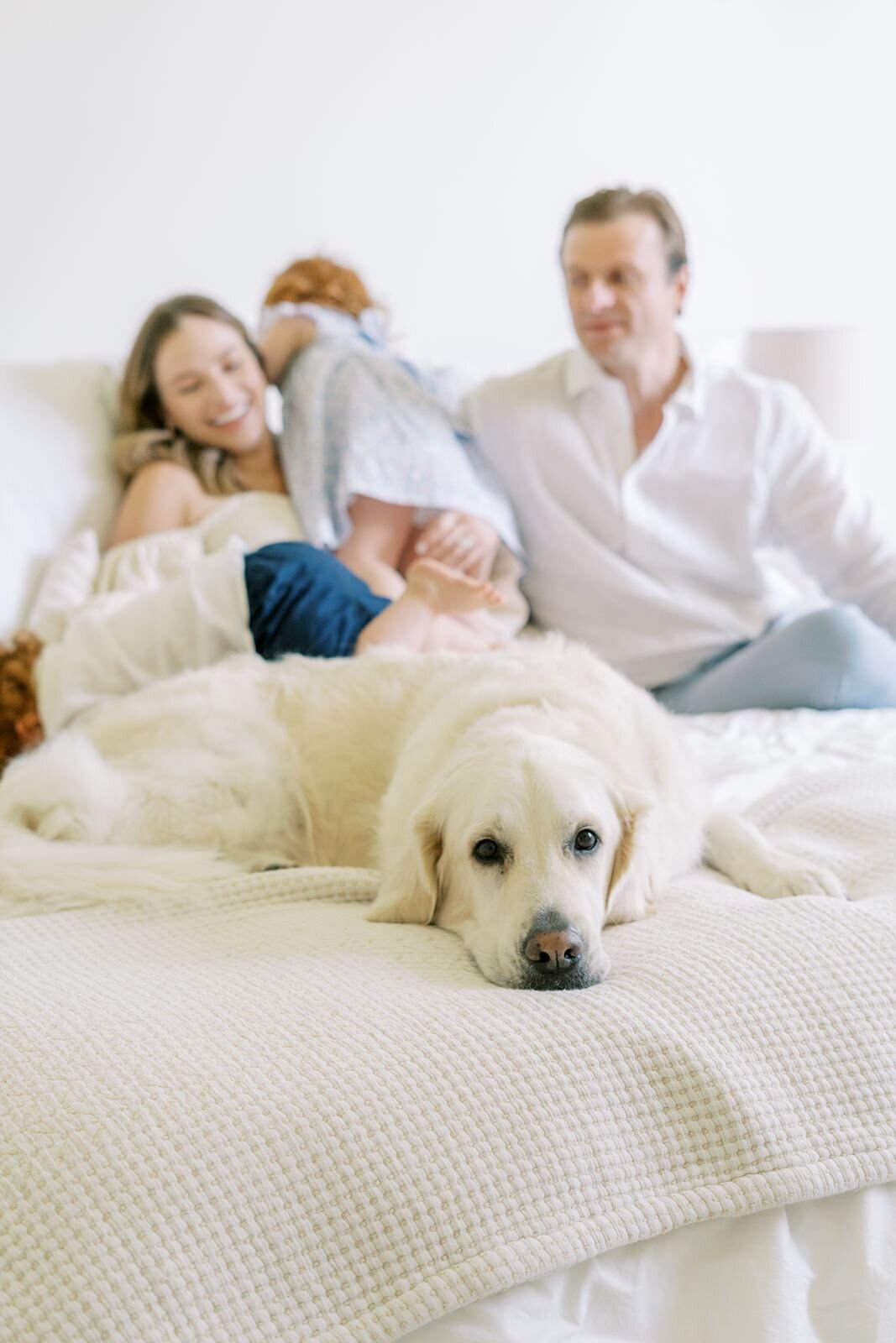 Lifestyle newborn photoshoot with pet dog