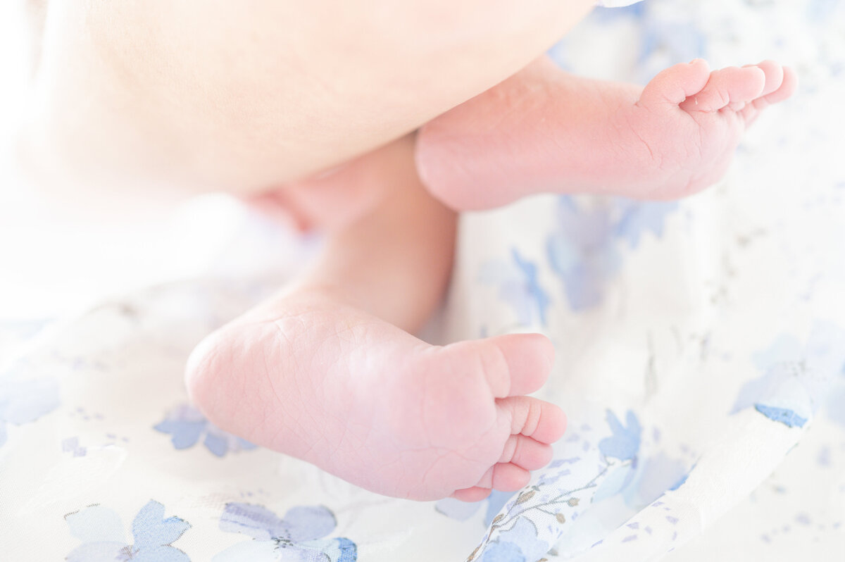 Raleigh newborn photographers