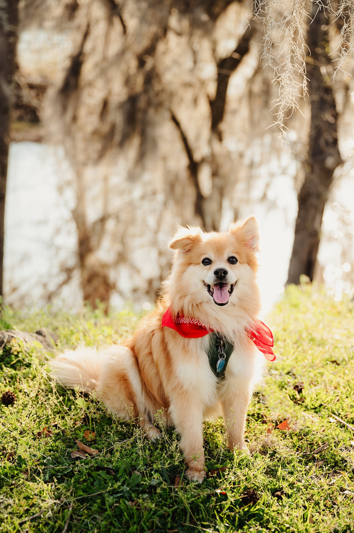 NinaJ_Spring2025_030