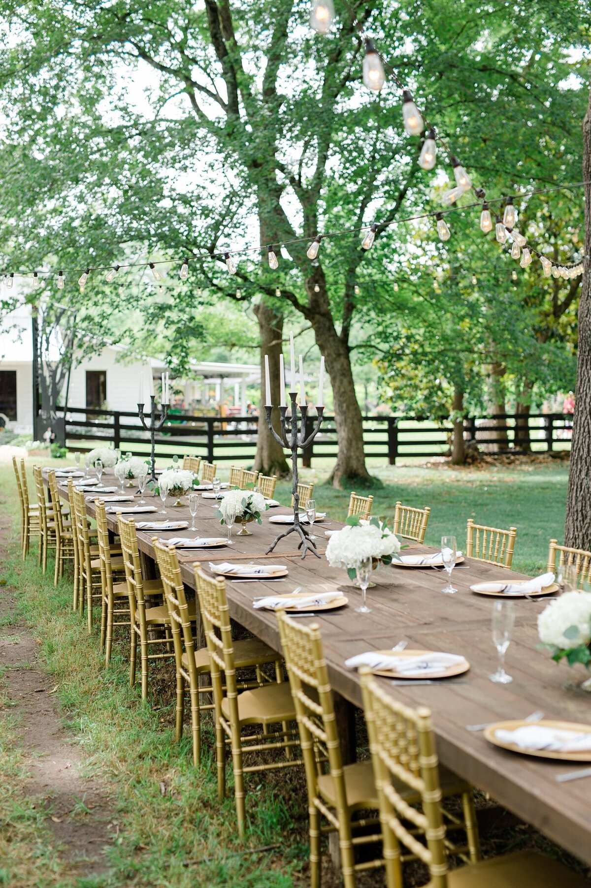 nutwood-vineyards-wedding-lagrange-georgia-laura-barnes-photo-31